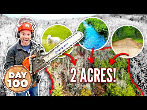 We Built a Homestead in 100 Days - All 100 Days