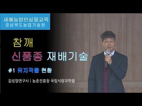 New Sesame Varieties Cultivation Technology - 1. Current Status of Oilseed Crops