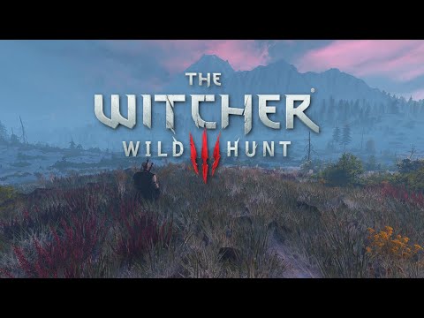 Skellige Meditation - The Witcher 3 Relaxing Ambience & Music