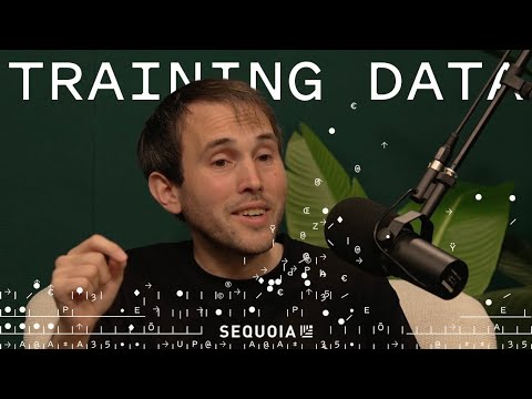 Securing the AI Frontier: Irregular Co-founder Dan Lahav