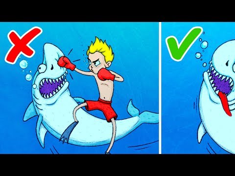 Petit Guide de Survie en Mer