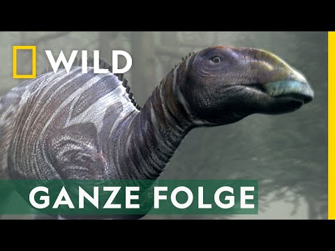 Dino-Profil - Ganze Folge | Jurassic C.S.I.
