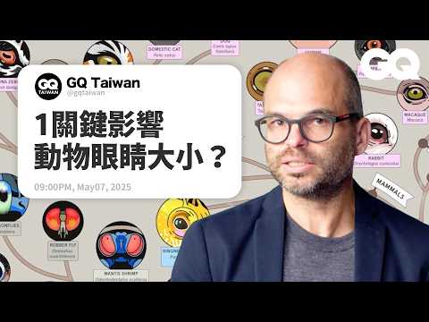 草食性、肉食性動物看眼睛能分辨？為什麼有些動物夜晚被光照到眼球會發亮？這動物的眼睛比人類還厲害？動物學者解析各種動物眼睛結構與演化！｜名人專業問答｜GQ Taiwan
