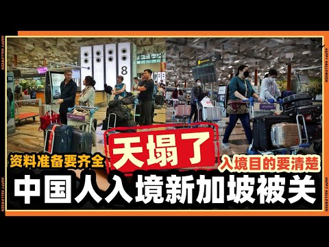 中国人一入境新加坡机场就紧张可能要坡被关‘小黑屋’
