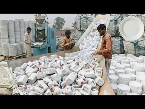 Incredible Recycling Process: Millions of Plastic Bottles Turned Into New Plastic Plates