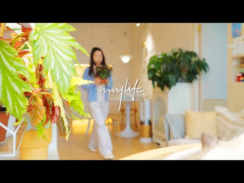 What exactly is happiness⁉️🍀