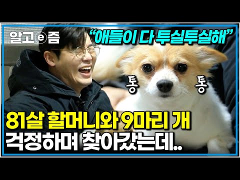 “얼마나 잘 먹이신 거예요” 완벽 관리된 9마리 강아지에 깜짝 놀란 설쌤. 열심히 폐지 주워 정성껏 키운 81세 할머니. 할머니의 유일한 소원|세상에 나쁜 개는 없다|알고e즘