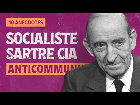 Raymond Aron (biographie) : le libéral qui ne s'est jamais trompé