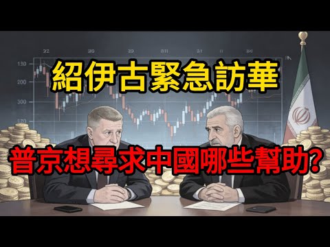 【深度解密】紹伊古緊急訪華，只待了一天？俄油跌至22美元、國庫賣黃金！普京這封「求救信」分量太重！#麥子說事 #時事熱點 #時事評論