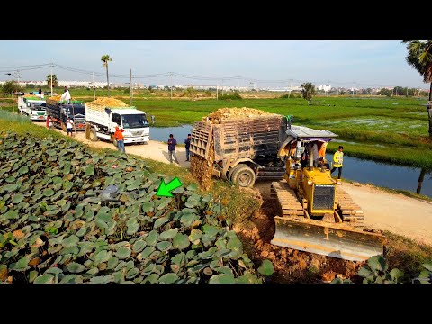 Starting a New huge project!! First Dump Truck 5ton pour Stone Delete pond water with Dozer Komatsu