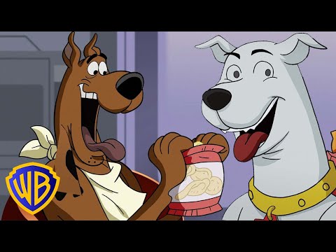 Scooby-Doo! And Krypto, Too! | Scooby-Doo Meets A SUPER Friend! | @wbkids​