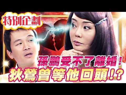 【#貓大企劃 24】孫鵬受不了而離婚 狄鶯曾等他回頭!?