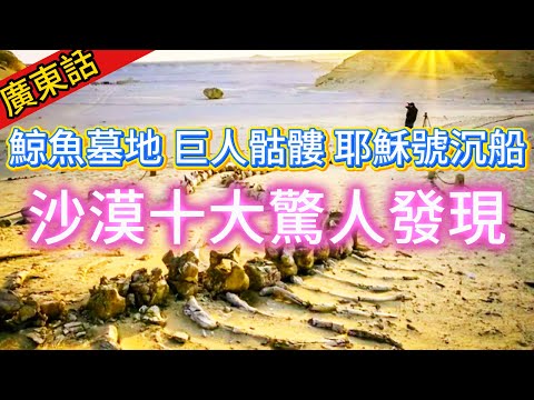 【粵講越謎】| 沙漠中十大驚人發現！史前鯨魚墓地、撒哈拉巨人骷髏、耶穌號沉船殘骸、地下教堂等等，超出人類認知！ |  #未解之謎  #廣東話 #獵奇#神秘