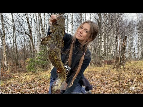 ЛОВЛЯ НАЛИМА НА СЕВЕРЕ. РЫБАЛКА на ФИДЕР поздней Осенью.