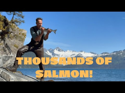 Camping in Portage Valley & Fishing in Whittier Alaska | Thousands of Salmon!