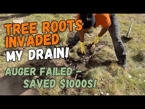 Clogged Driveway Drain Under Concrete | DIY Fix for Gutter Water & Foundation Flooding