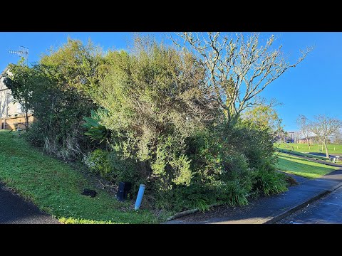 We gave a Free Garden Makeover to an Elderly Couple in the hospital! | Neglected for over 10 years