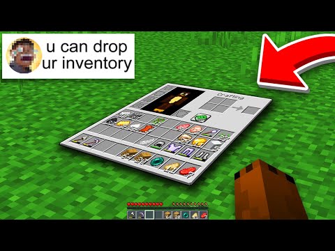 I Hired a Pro Developer to Ruin Minecraft