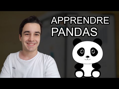 [Tuto Français] : Comment Analyser des Données d’Excel (avec Python et Pandas) 📊