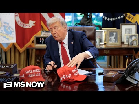 Ex-Trump WH official: Trump trying to 'manipulate' elections ahead of midterms