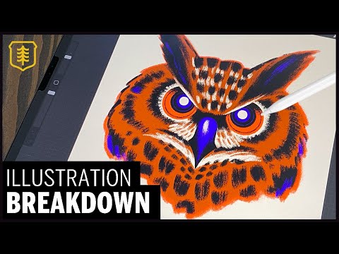 Drawing an OWL - Procreate ILLUSTRATION Walkthrough
