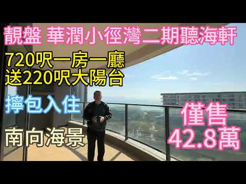 华润小径湾超级笋盘！67平方米一房一厅42.8万！近200尺大阳台！前天后享受阳光浴！