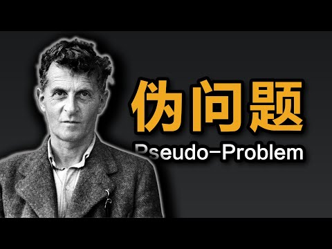 【他心问题7】维特根斯坦：看似是哲学问题，其实是语文没学好