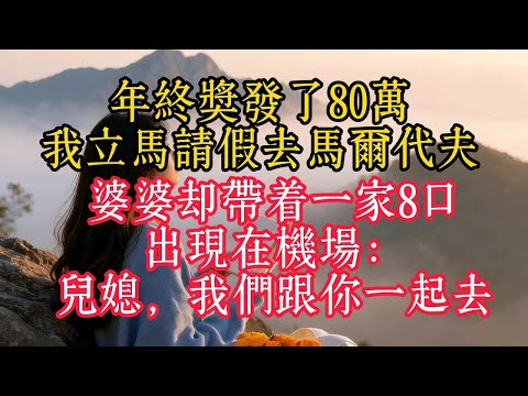 年終獎發了80萬我立馬請假去馬爾代夫婆婆卻帶著一家8口出現在機場兒媳我們跟你一起去