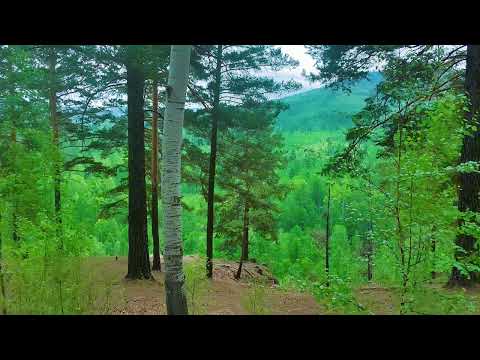 Природа Забайкалья 4K. Чёртов пик. The nature of Transbaikalia 4K. Damn peak