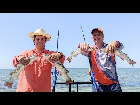 How Uncle Fyodor caught mullet in the Sea of ​​Azov.