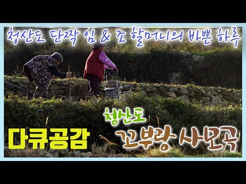 청산도 꼬부랑 사모곡 / 60여년을 함께 한 둘도 없는 단짝 조 & 임 두 할머니의 청산도 살이 [인생의 맛] KBS 2014.12.6 방송