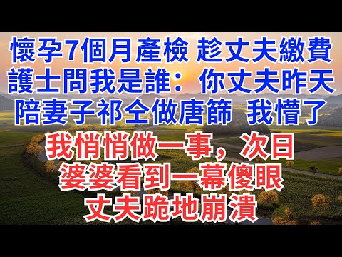 懷孕7個月產檢趁丈夫繳費,護士問我是誰:你丈夫昨天來陪妻子祁仝做唐篩,我懵了,護士亮出照片,我渾身發抖,我立刻撥通電話,只做一事,回家後丈夫崩潰,婆家炸鍋!#為人處世#故事#小說#戀愛#情感#婚姻