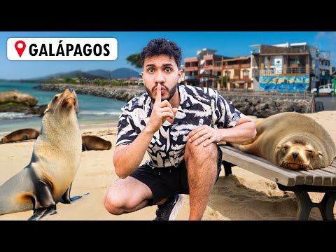 Visité una ISLA DOMINADA por LOBOS MARINOS | GALÁPAGOS (3/3)
