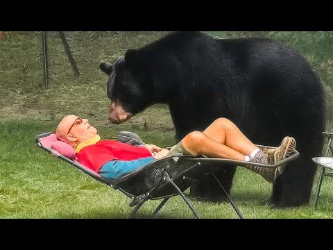 Die lustigsten gefilmten Tiermomente 2025