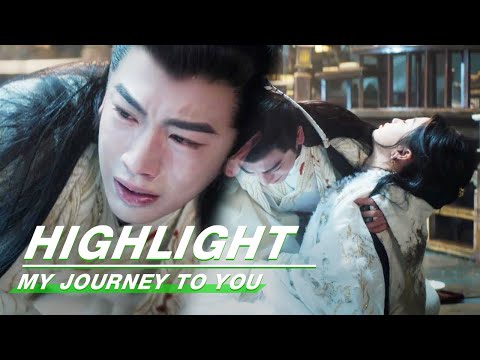 Highlight EP16：Yun Weishan was Poisoned, Gong Ziyu Cried Bitterly | My Journey to You | 云之羽 | iQIYI