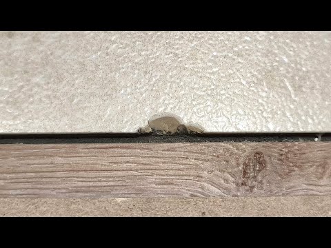 Only a few know this repair secret! How to perfectly fix chips on tiles in 5 minutes?