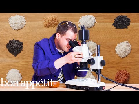 12 Types of Rice, Examined Under a Microscope and Cooked | Bon Appétit