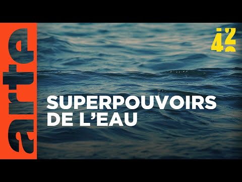 Comment l’eau peut-elle créer la vie ? | 42 - La réponse à presque tout | ARTE
