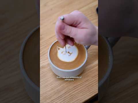 How to make the perfect cat latte art