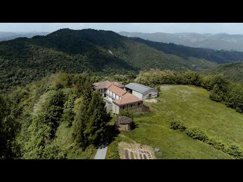 Strawberries, Sightseeing and Sawdust (#80)