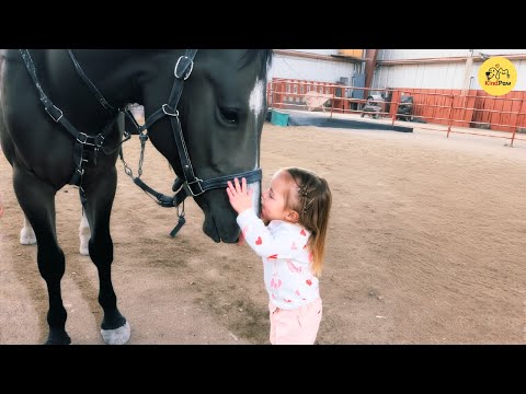 This Toddler Found Her Soulmate in a 1,000-Pound Horse