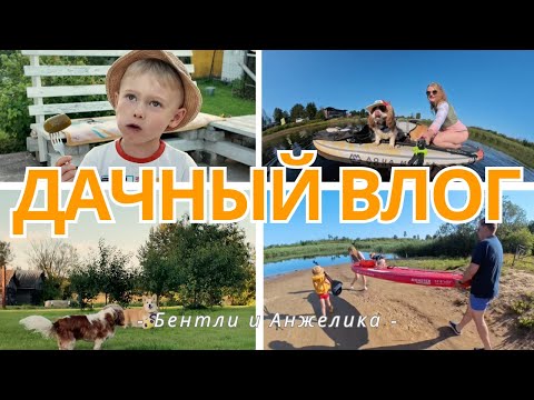 Дачный влог: водный теннис, сап-доставка, кошка и 2 собаки