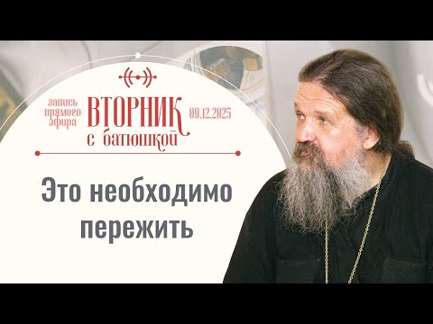 Бог даёт каждому персональное задание. Вторник с батюшкой. Беседа с от. Андреем Лемешонком 9.12.25
