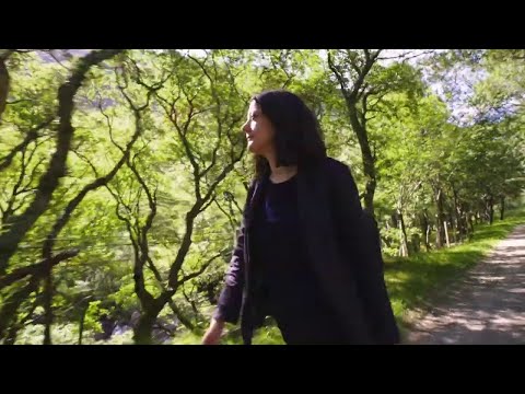 The River A Year in the Life of the Tay