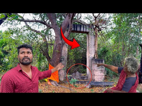 😳😱🙏🫣காட்டுக்குள் தனியே நிற்கும் நுழைவாயில்  உள்ள போக அஞ்சும் ஊர் மக்கள்? வழி சொல்லும் பாட்டி.