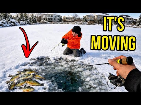 Ice Fishing This Small Pond… Something Started Moving Under the Ice