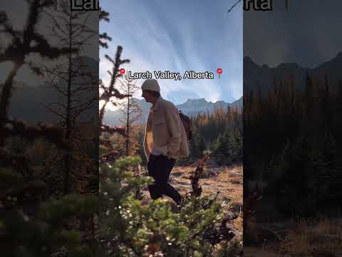 Voted Worlds Most Beautiful Fall Hike?! 🤯 #shorts #canada #hiking