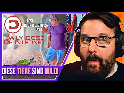 So unterhaltsam sind Türen SELTEN! - Gronkh Reaction