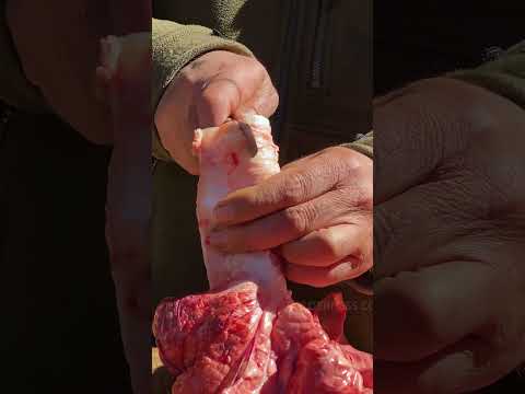 Liver Wild Cooking: Rustic Flavors with Chef in the Great Outdoors