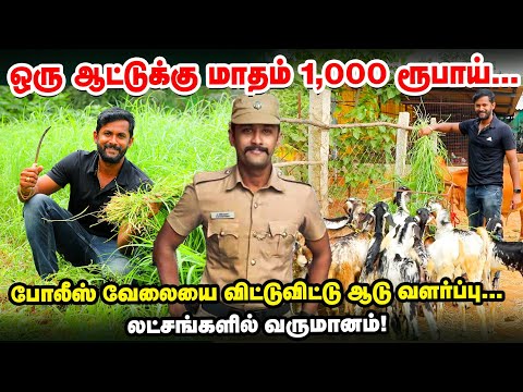 Police வேலையில் 10 வருடத்தில் சம்பாதித்ததை ஆடு வளர்ப்பில் 2 வருடத்தில் சம்பாதிச்சிட்டேன் | Goat Farm